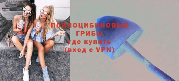прущие крисы Белокуриха