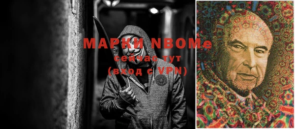 прущие крисы Белокуриха