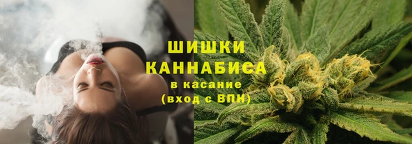 прущие крисы Белокуриха