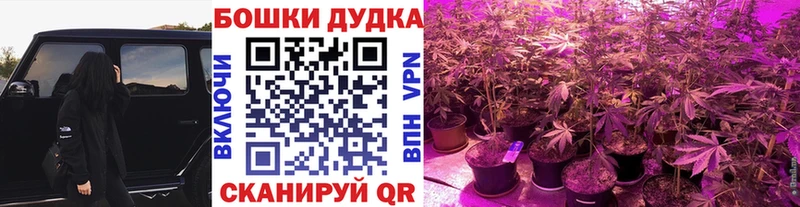 кракен зеркало  Чекалин  Марихуана LSD WEED  купить наркотики цена 